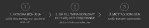 storspelare bonus