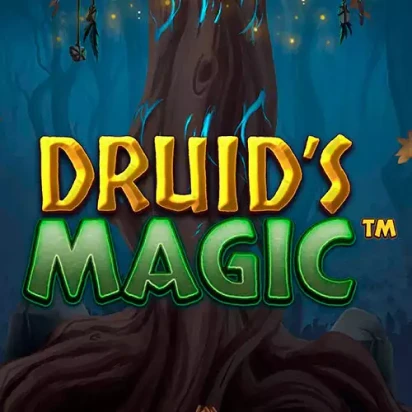 Image for Druids magic